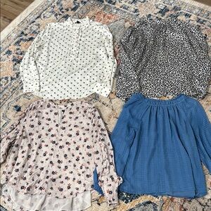 Floral, Polka Dot, Leopard, and Blue Blouses Set. Ann Taylor size medium
